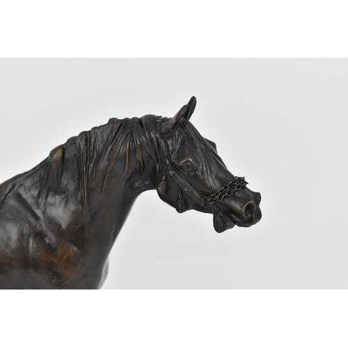 180 - A patinated bronze model of an Arab stallion, with tasselled bridle, signed and dated to the base 'D... 