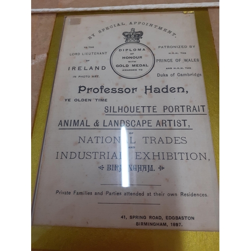 258 - A framed Professor Haden silhouette, late 19th century 
Location: RWM