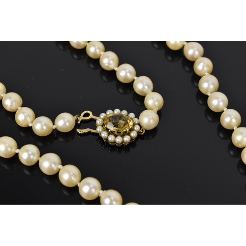 119 - A single strand of cultured white pearls, with 9ct yellow gold, seed pearl and oval cut citrine clas... 