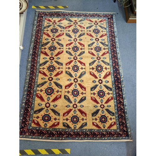 186 - A hand woven rug having geometric designs and multiguard borders, 181cm x 124cm
Location:SL