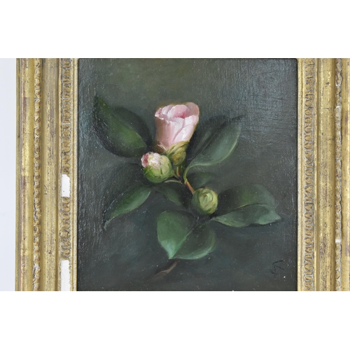 178 - Susie Phillips (XX/XXI century) British
depicting a spring of pink rose buds, indistinctly initialle... 