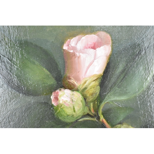 178 - Susie Phillips (XX/XXI century) British
depicting a spring of pink rose buds, indistinctly initialle... 