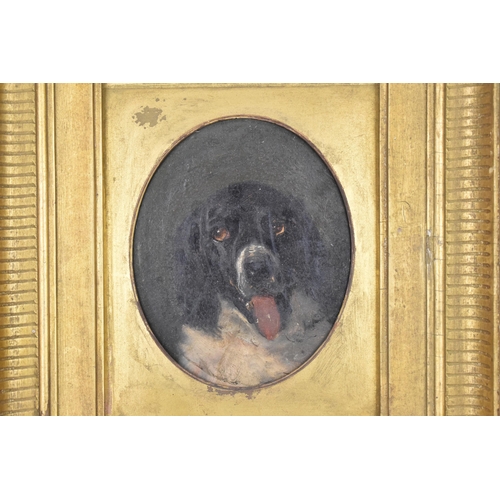 179 - Circle of Edwin Landseer, 19th century,
portrait of a spaniel, oil on card, within a moulded gilt-wo... 