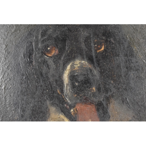 179 - Circle of Edwin Landseer, 19th century,
portrait of a spaniel, oil on card, within a moulded gilt-wo... 