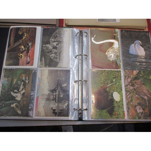 230 - Three postcard albums with approximately 300 post cards of theatres, garden, cats, dogs, goats and o... 