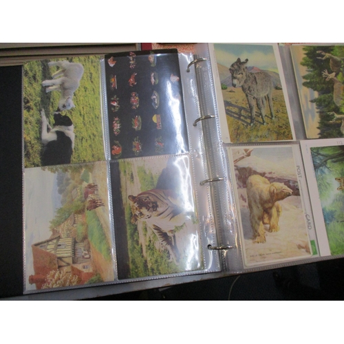 230 - Three postcard albums with approximately 300 post cards of theatres, garden, cats, dogs, goats and o... 