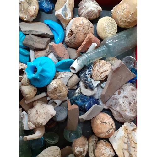 424 - Fossils and detectorist finds, housed in an oak box
Location: A3F