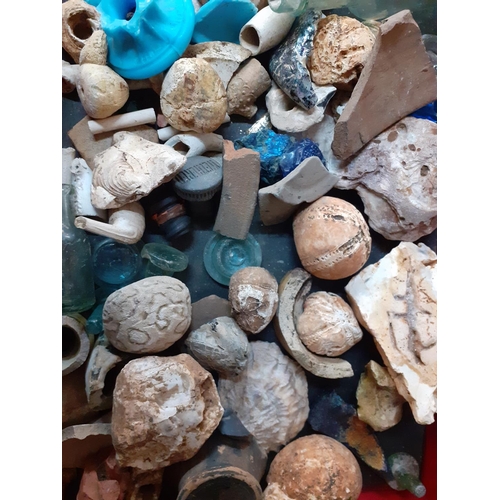 424 - Fossils and detectorist finds, housed in an oak box
Location: A3F