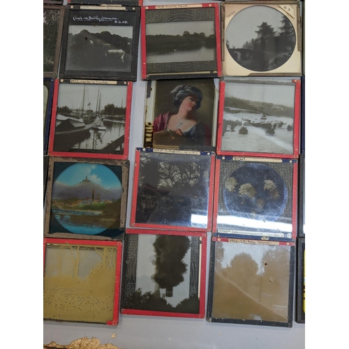 431 - A selection of magic lantern slides to include some depicting scenes of Norwich, Chrysanthemums and ... 