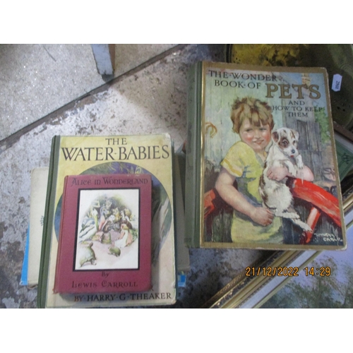 488 - A mixed lot to include books, Alice in Wonderland by Lewis Carroll, the Water Babies by Harry G Thea... 