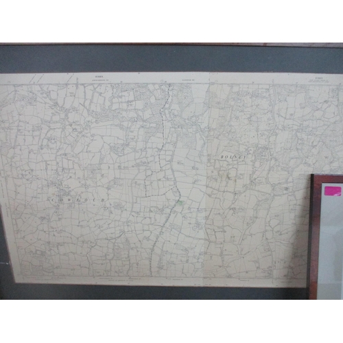 77 - A group of framed and glazed maps to include those of London, Rome, New York city and vicinity Locat... 