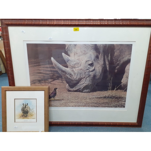 163 - Alan M Hunt - Rhino meets bird, a limited edition print, 481 of 750, dated 1977 and signed in the lo... 