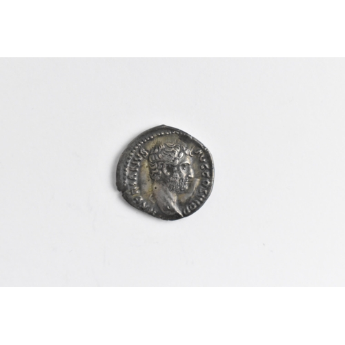 97 - Roman Empire - Hadrian (117-138) silver Denarius, Rome mint, laureate bust of Hadrian, right, ./. Pr... 