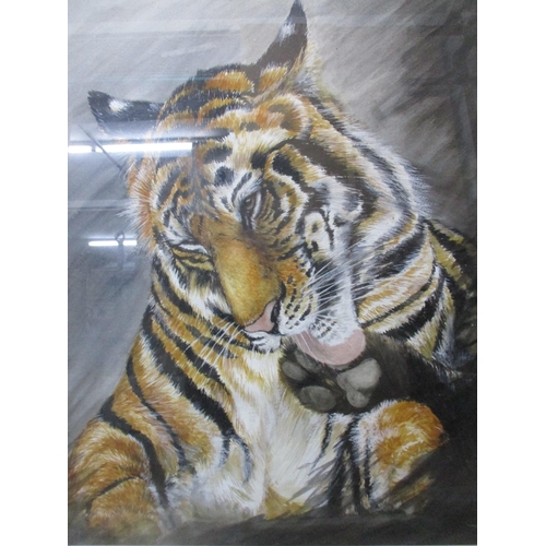 240 - Pictures to include Jeannie Brown -  study of a monkey, watercolour, a watercolour of a tiger, vario... 