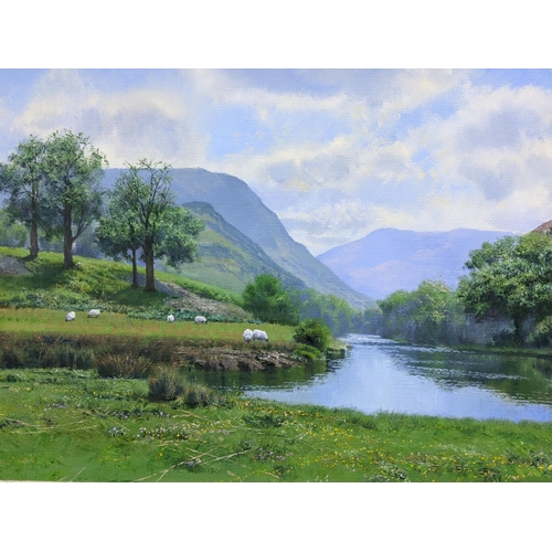 401 - Philip Stanton - oil on canvas depicting a country landscape with mountain range and sheep to the fo... 