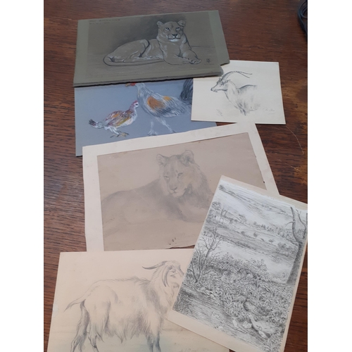 342 - A folder of sketches, prints, watercolours and engravings
Location: LWF