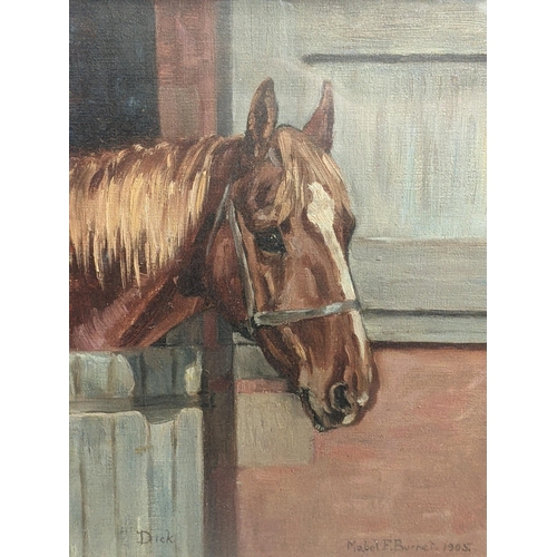 75 - Mabel F Burnet - an oil on canvas depicting a horse entitled 'Dick', signed and dated 1905 to the lo... 