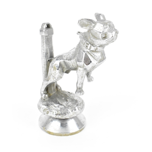 241 - An early 20th century Art Deco nikel plated bull dog car mascot, mounted on radiator cap, the dog de... 