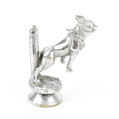 241 - An early 20th century Art Deco nikel plated bull dog car mascot, mounted on radiator cap, the dog de... 