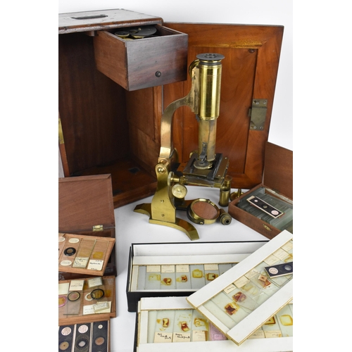 246 - A 19th century brass microscope by Salmon (100 Fenchurch St., London) in a mahogany box with brass f... 