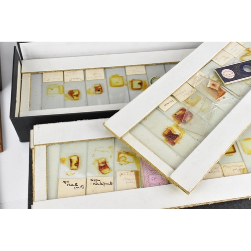 246 - A 19th century brass microscope by Salmon (100 Fenchurch St., London) in a mahogany box with brass f... 