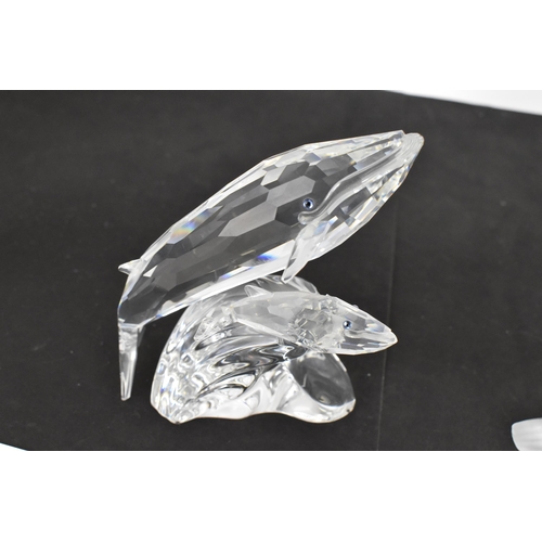 261 - A collection of Swarovski crystal CSC annual edition animal models, comprising a group of dolphins '... 