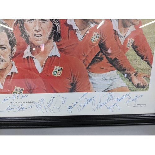 30 - After Ralph Sweeney - 'The Dream Lions' 1997 rugby print signed by the players and artist, framed an... 