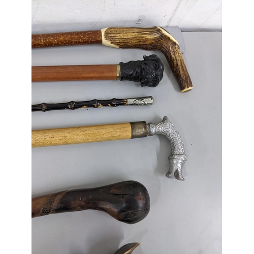 42 - Walking sticks to include various modern examples and an early 20th century swagger stick and an Afr... 