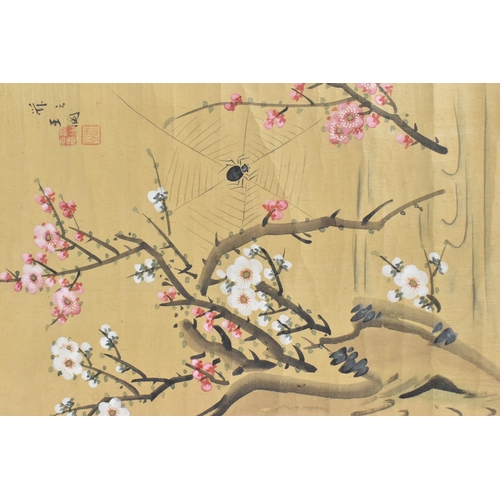 123 - A pair of Chinese watercolour on silk scroll paintings, depicting prunus branches and spider-web, an... 