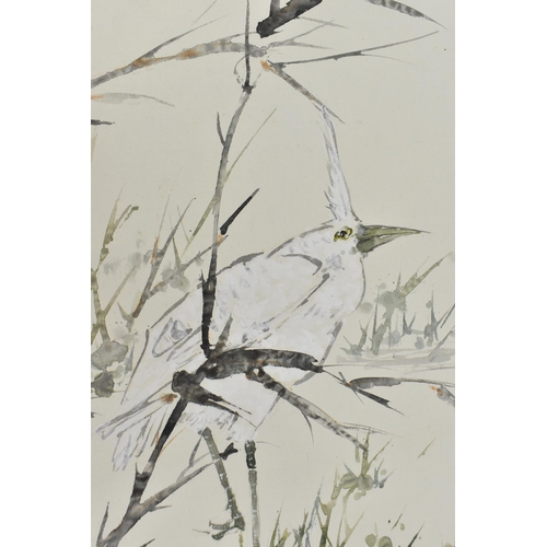 238 - A Chinese 20th century watercolour on paper, depicting a bird in a tree by a river, with ink calligr... 