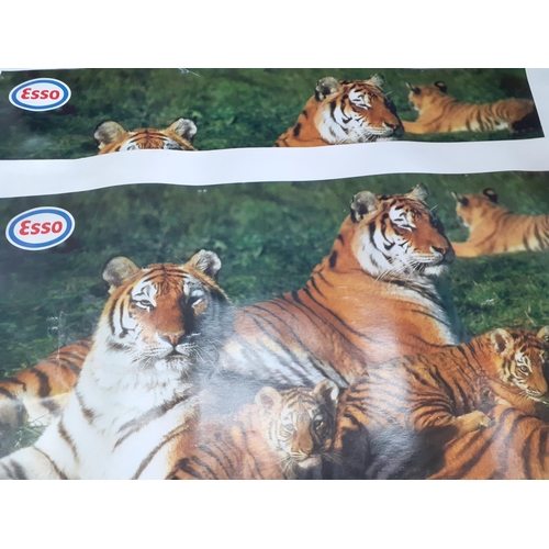 256 - A group of wildlife prints and posters to include ESSO posters of tigers and a limited edition Paul ... 