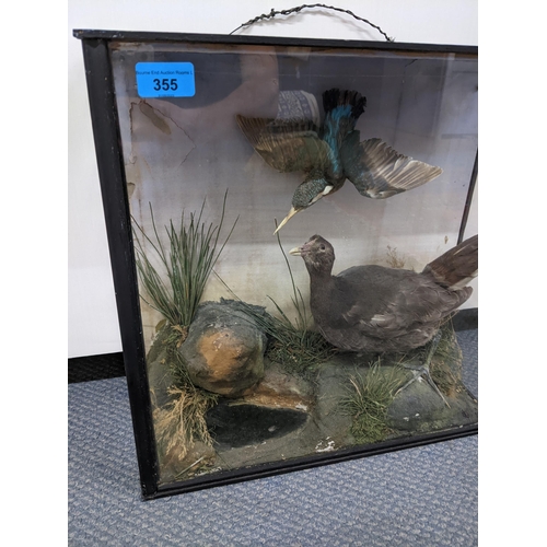 355 - Taxidermy - a Kingfisher and a Moorhen in a naturalistic setting and glazed case, 42cm x 43cmn
Locat... 