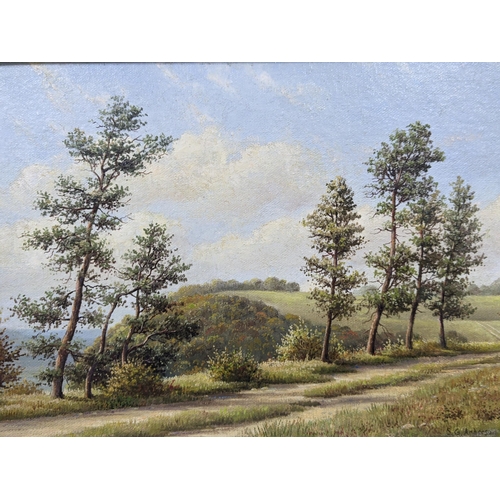 35 - S G Anderson - oil on board depicting Sutton Bank, Yorkshire, 34 x 24, framed Location:RWF