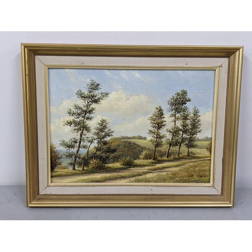 35 - S G Anderson - oil on board depicting Sutton Bank, Yorkshire, 34 x 24, framed Location:RWF