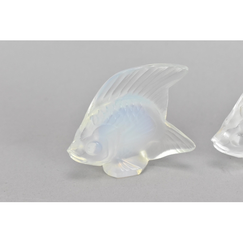 17 - Three Lalique glass tropical fish models, comprising two opalescent ones and a clear/frosted one, ea... 