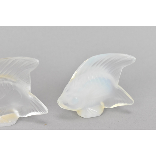 17 - Three Lalique glass tropical fish models, comprising two opalescent ones and a clear/frosted one, ea... 