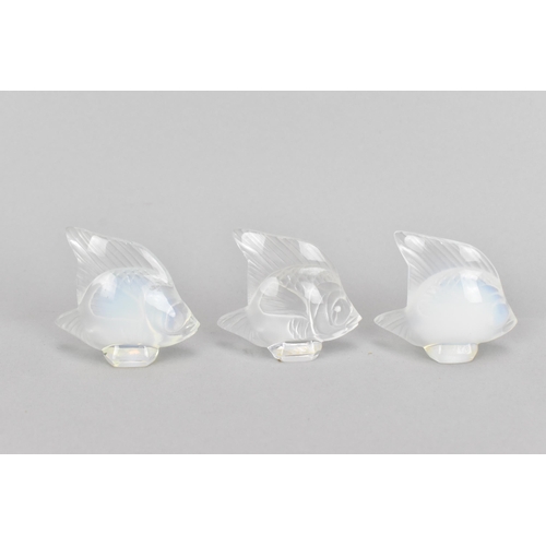 17 - Three Lalique glass tropical fish models, comprising two opalescent ones and a clear/frosted one, ea... 