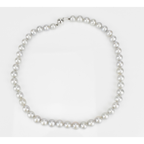 302 - An 18ct white gold and single strand cultured Tahitian pearl necklace, of light grey colour, approxi... 