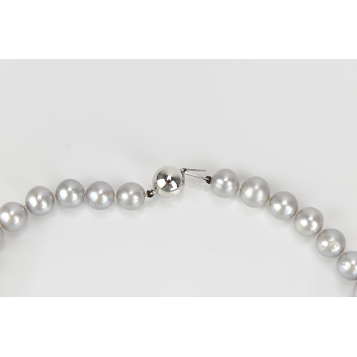 302 - An 18ct white gold and single strand cultured Tahitian pearl necklace, of light grey colour, approxi... 