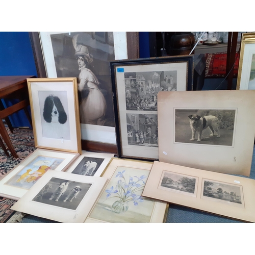 251 - A quantity of mixed pictures and  vintage photographs of dogs to include antiquarian prints, a still... 