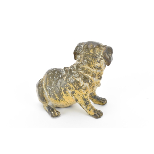 388 - An Austrian cold painted bronze model of a seated pug dog, in the manner of Franz Bergmann, the unde... 