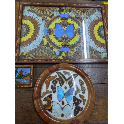 273 - A collection of blue Morpho butterfly and moth wing items to include two serving trays, a framed pri... 