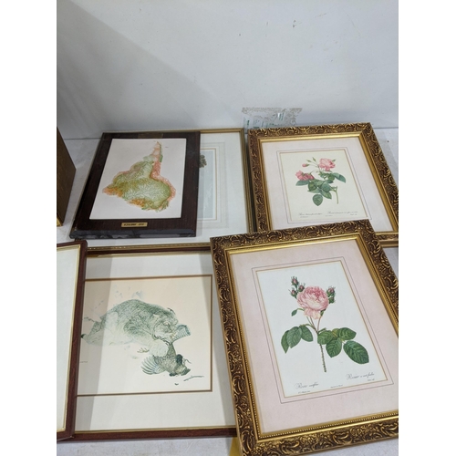 482 - Mixed framed and glazed pictures to include prints of flowers, a cat catching pray and others along ... 