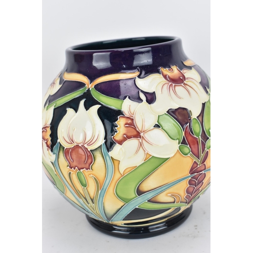 492 - A Moorcroft pottery 'Royal Gold' vase designed by Rachel Bishop, 2005, limited edition 81/100, of gl... 