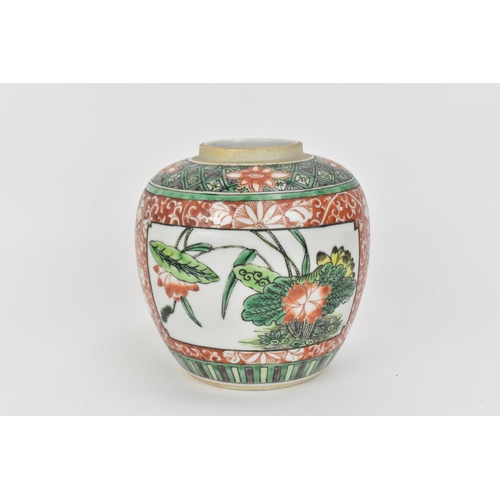 51 - A Chinese Famille Verte porcelain ginger jar, Qing dynasty, 19th century, painted with naturalistic ... 