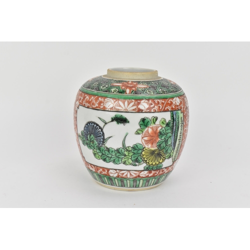 51 - A Chinese Famille Verte porcelain ginger jar, Qing dynasty, 19th century, painted with naturalistic ... 