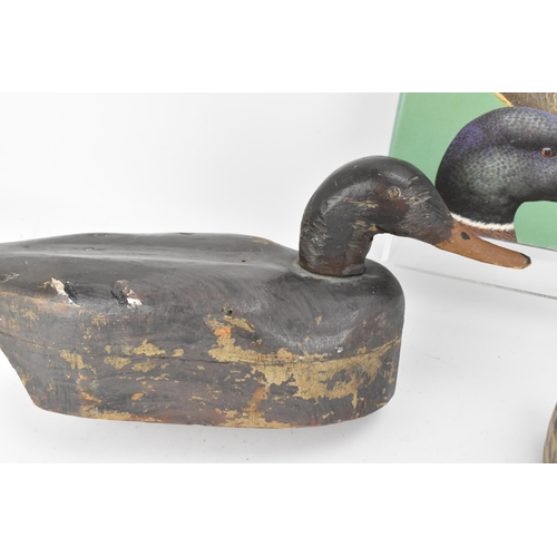 231 - Two carved and painted decoy ducks, 20th century, probably American, one of a hen mallard, together ... 