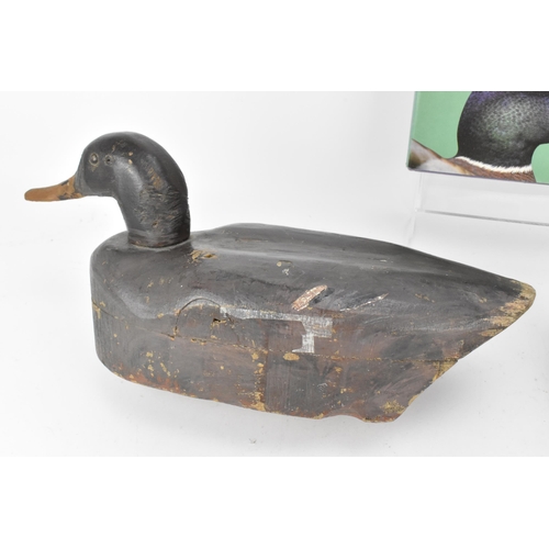 231 - Two carved and painted decoy ducks, 20th century, probably American, one of a hen mallard, together ... 