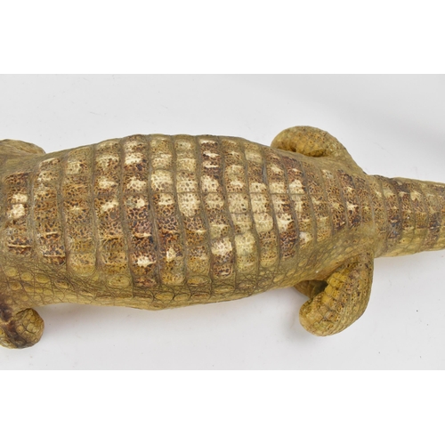 230 - Taxidermy: A Nile Crocodile (Crocodylus niloticus), early 20th century, a full mount juvenile Nile C... 