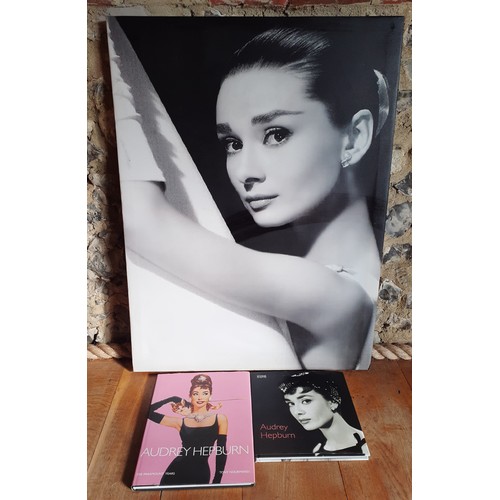 Audrey Hepburn Interest-A large unframed canvas and 2 books